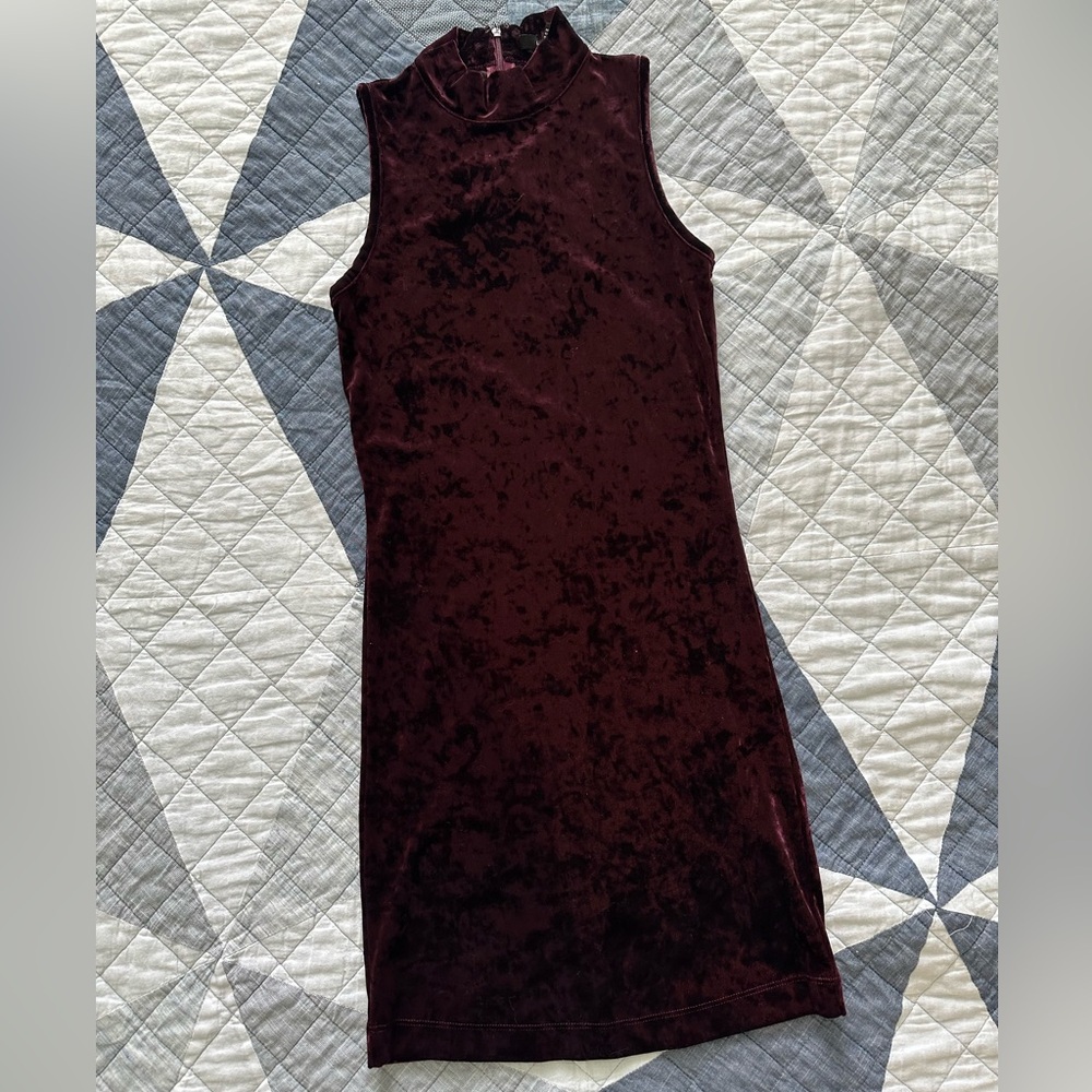 Forever 21 Burgundy Velvet Mini Dress